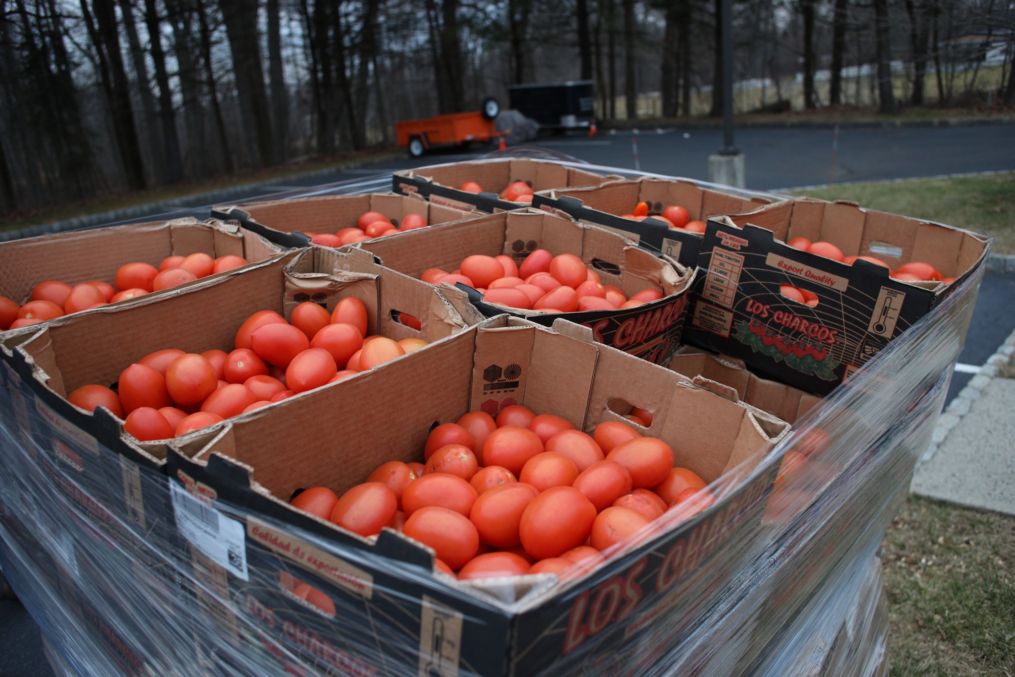 Fundación Gracia - Obra Misional